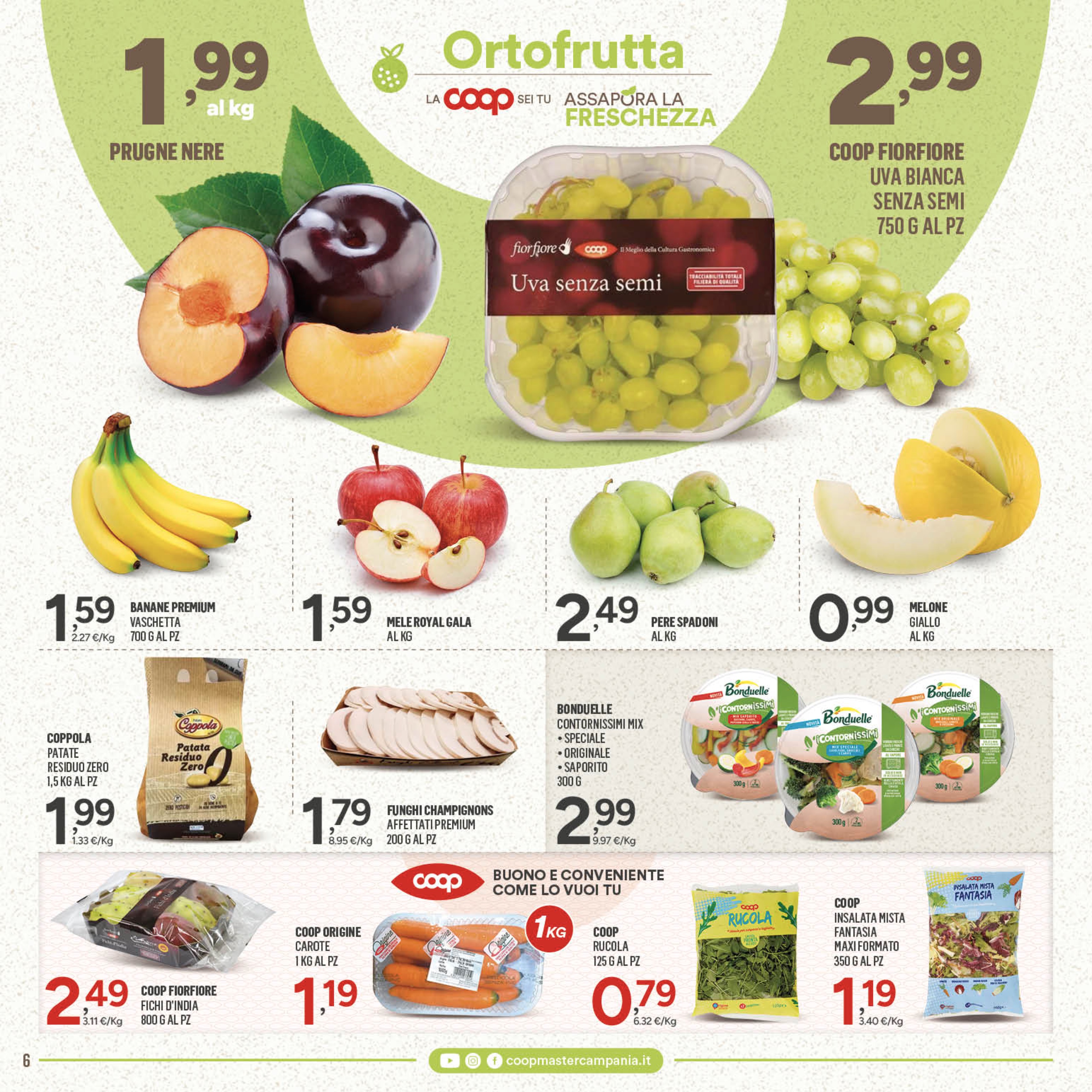 Pagina 6