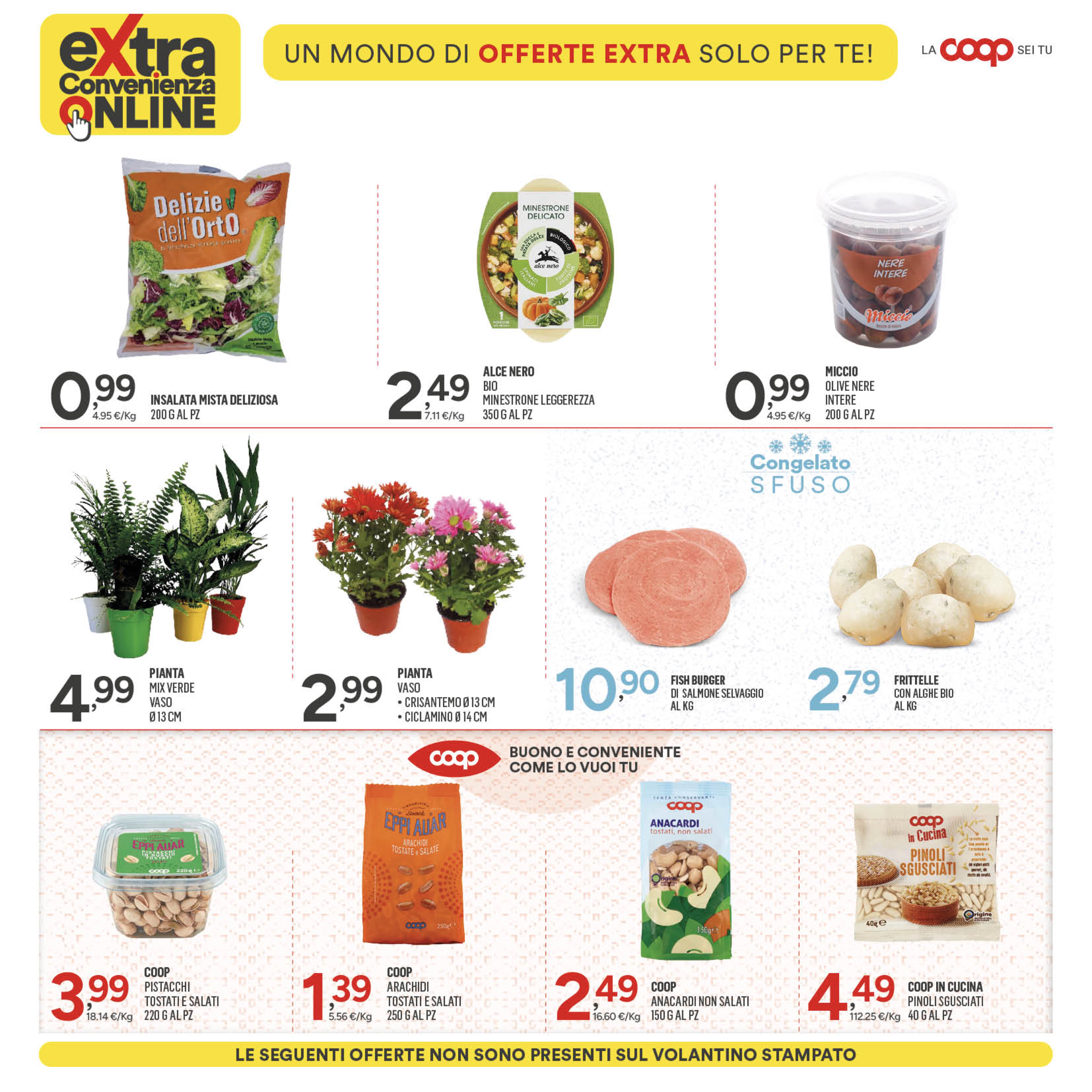 Pagina 24