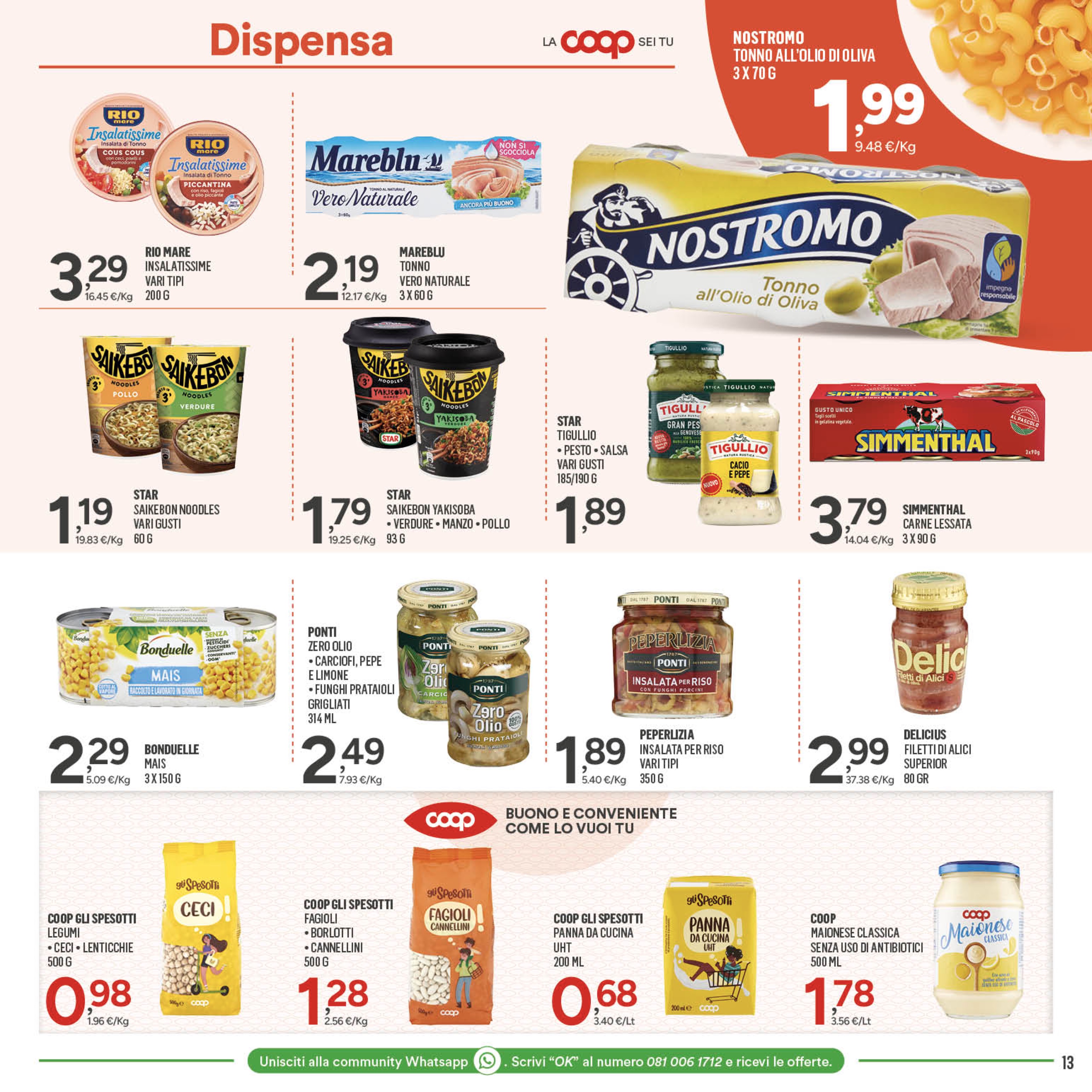 Pagina 13