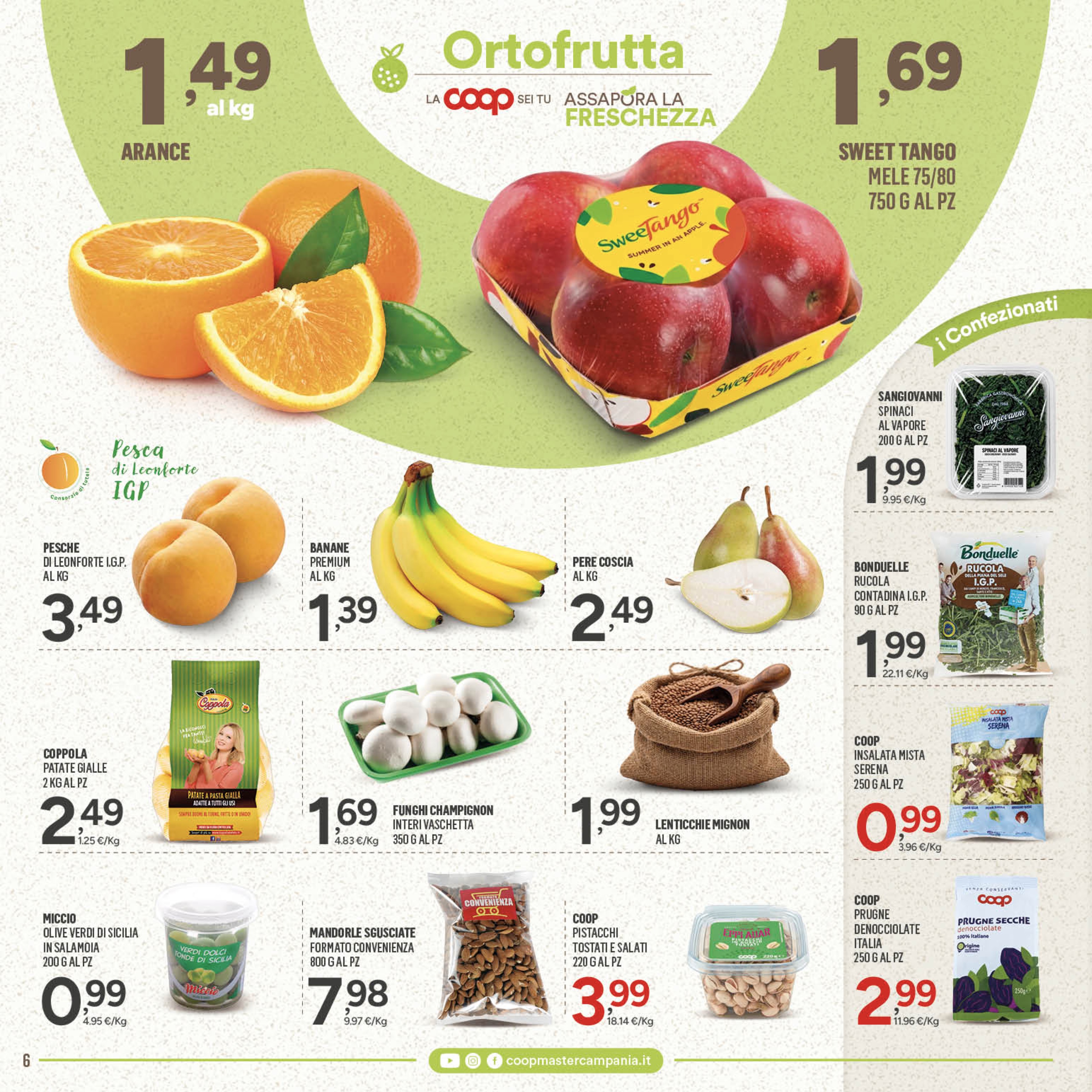 Pagina 6